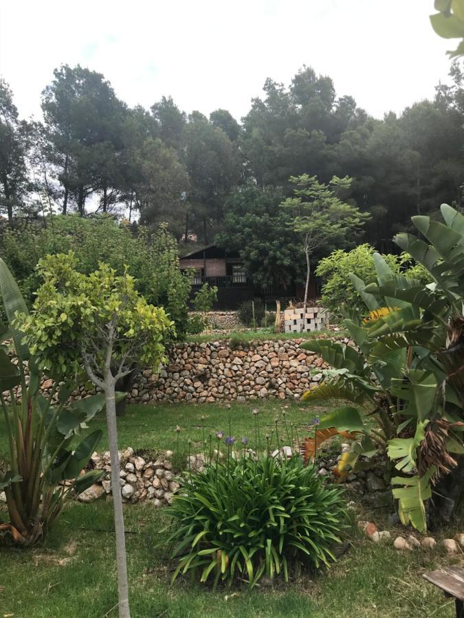 Vila Casa Del Paso Bolulla Exteriér fotografie